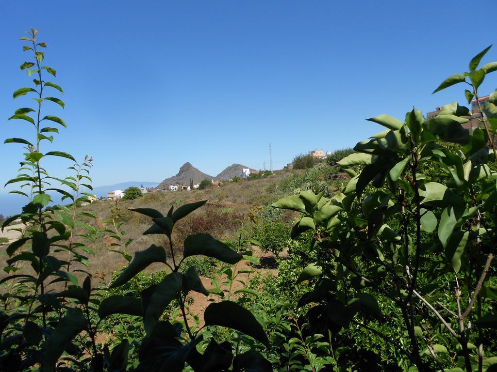 Casa Rural Isabel Villa Vilaflor Bagian luar foto